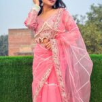 PANI Premium Net Saree with Heavy Embroidery, Dori & Sequins Work + Hand-Diamond Border - Pink